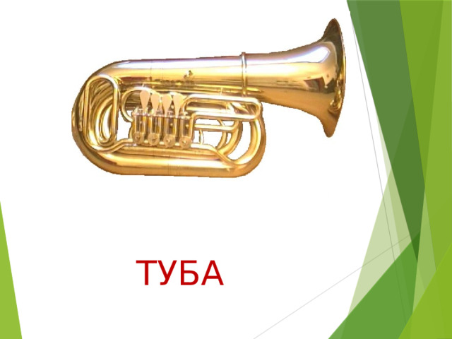 ТУБА 