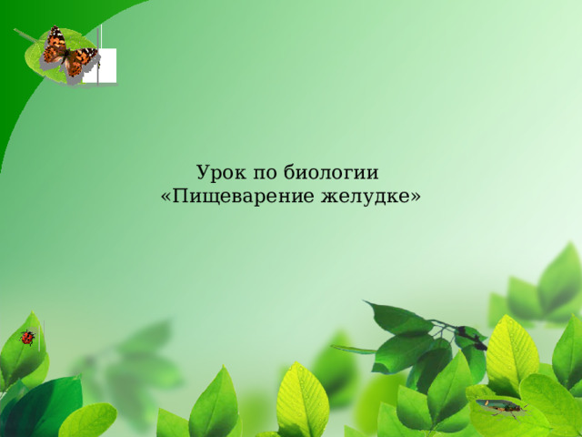 Урок по биологии  «Пищеварение желудке» 