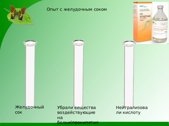 Опыт с желудочным соком Желудочный сок Убрали вещества воздействующие на белки(прокипятили) Нейтрализовали кислоту 