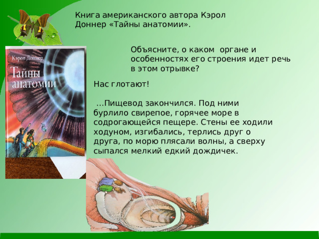 Книга американского автора Кэрол Доннер «Тайны анатомии». Объясните, о каком органе и особенностях его строения идет речь в этом отрывке? Нас глотают! … Пищевод закончился. Под ними бурлило свирепое, горячее море в содрогающейся пещере. Стены ее ходили ходуном, изгибались, терлись друг о друга, по морю плясали волны, а сверху сыпался мелкий едкий дождичек. 