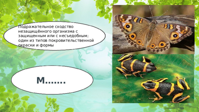 Подражательное сходство незащищённого организма с защищенным или с несъедобным; один из типов покровительственной окраски и формы М…….  