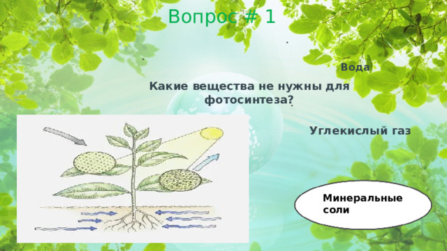 Вопрос # 1 Вода Какие вещества не нужны для фотосинтеза? Углекислый газ Минеральные соли  