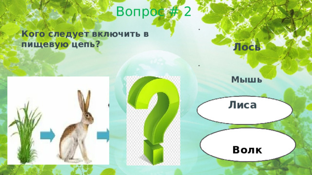 Вопрос # 2 Кого следует включить в пищевую цепь? Лось Мышь Лиса Волк  