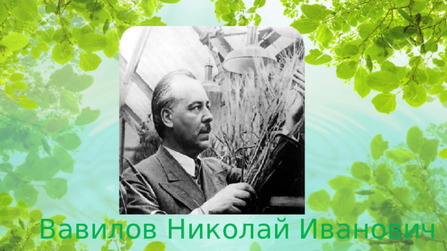 Вавилов Николай Иванович  