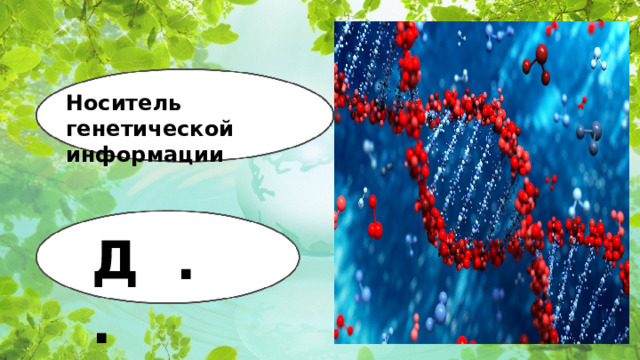 Носитель генетической информации Д . .  