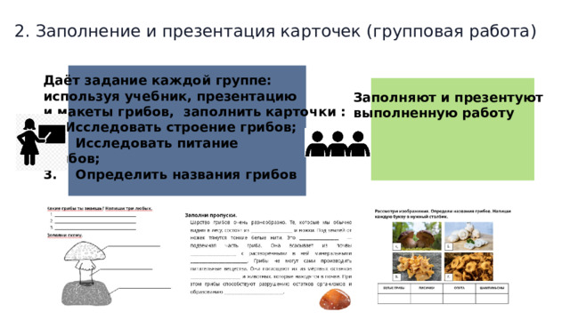  2. Заполнение и презентация карточек (групповая работа) Даёт задание каждой группе: используя учебник, презентацию и макеты грибов, заполнить карточки : Исследовать строение грибов; 2. Исследовать питание грибов; 3. Определить названия грибов   Заполняют и презентуют выполненную работу  
