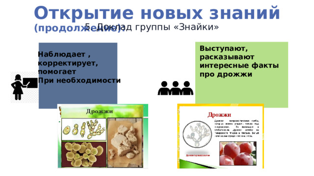 Открытие новых знаний (продолжение): 5. Доклад группы «Знайки» Выступают, расказывают интересные факты про дрожжи  Наблюдает , корректирует, помогает При необходимости  