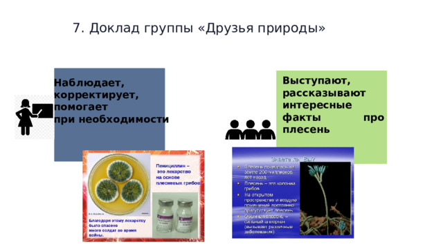 7. Доклад группы «Друзья природы» Выступают, рассказывают интересные факты про плесень Наблюдает, корректирует, помогает при необходимости  