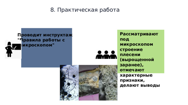8. Практическая работа Рассматривают под микроскопом строение плесени (вырощенной заранее), отмечают характерные признаки, делают выводы Проводит инструктаж 