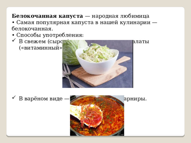 Белокочанная капуста — народная любимица • Самая популярная капуста в нашей кулинарии — белокочанная. • Способы употребления: В свежем (сыром) виде — витаминные салаты («витаминный», «весенний»). В варёном виде — супы (щи, борщ), гарниры. 