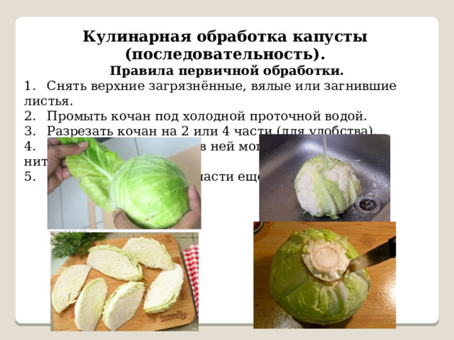 Кулинарная обработка капусты (последовательность).  Правила первичной обработки. 1.  Снять верхние загрязнённые, вялые или загнившие листья. 2.  Промыть кочан под холодной проточной водой. 3.  Разрезать кочан на 2 или 4 части (для удобства). 4.  Вырезать кочерыжку (в ней могут накапливаться нитраты). 5.  Промыть нарезанные части ещё раз. 