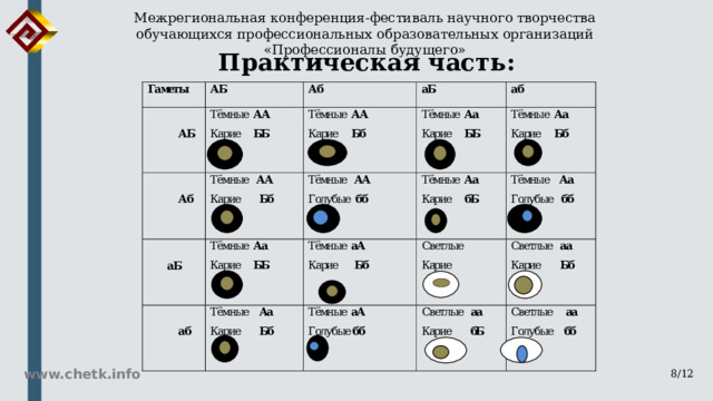 Межрегиональная конференция-фестиваль научного творчества обучающихся профессиональных образовательных организаций «Профессионалы будущего» Практическая часть: www.chetk.info 8/12 