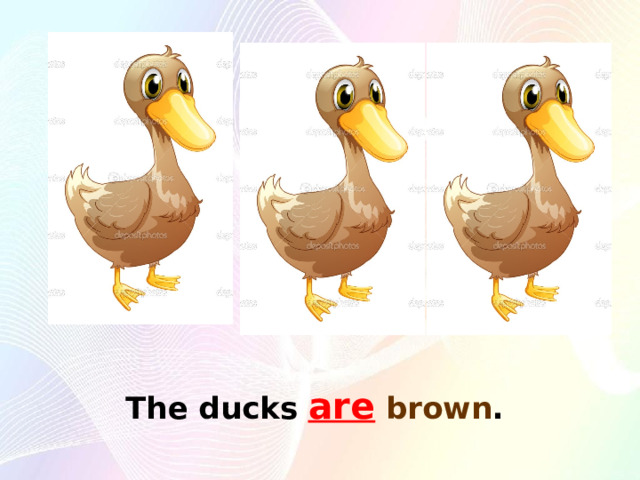 The ducks  are  brown . 