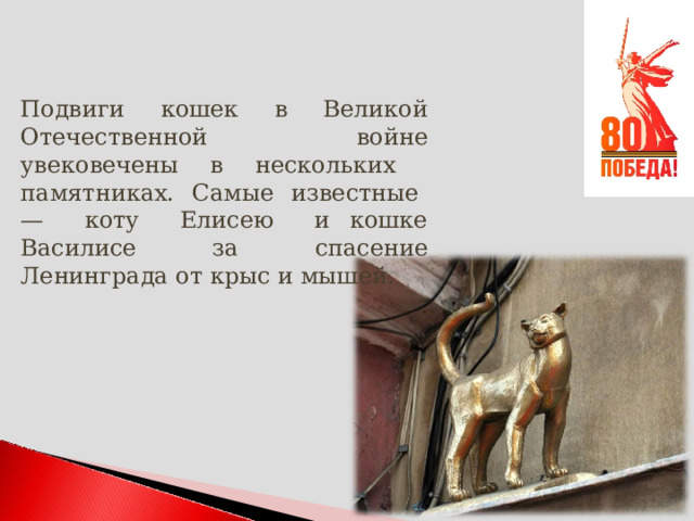 Подвиги кошек в Великой Отечественной войне увековечены в нескольких памятниках. Самые известные — коту Елисею и кошке Василисе за спасение Ленинграда от крыс и мышей. 