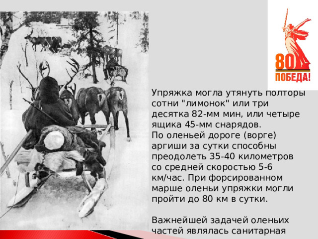  Упряжка могла утянуть полторы сотни 