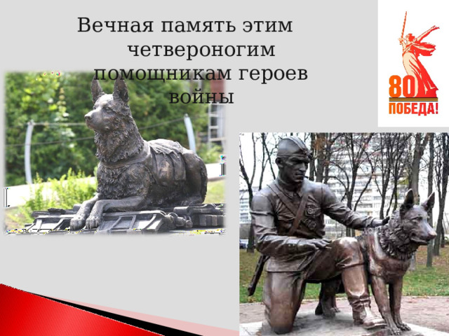 Вечная память этим четвероногим помощникам героев войны 