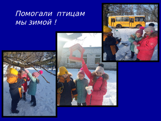 Помогали птицам мы зимой ! 