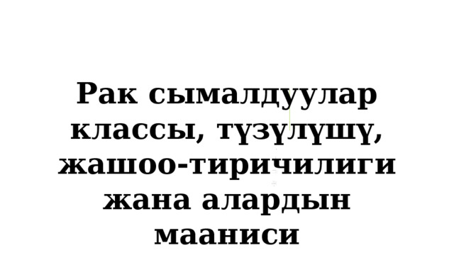 Рак сымалдуулар классы, түзүлүшү, жашоо-тиричилиги жана алардын мааниси 1 
