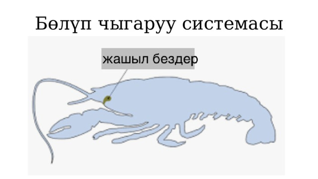 Бөлүп чыгаруу системасы 1 