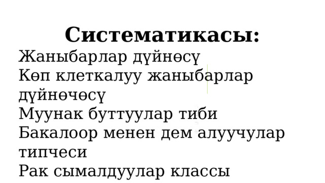 Систематикасы: Жаныбарлар дүйнөсү Көп клеткалуу жаныбарлар дүйнөчөсү Муунак буттуулар тиби Бакалоор менен дем алуучулар типчеси Рак сымалдуулар классы Өкүлү: дарыя рагы 1 