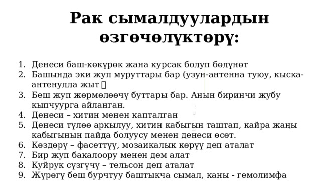 Рак сымалдуулардын өзгөчөлүктөрү: Денеси баш-көкүрөк жана курсак болуп бөлүнөт Башында эки жуп муруттары бар (узун-антенна туюу, кыска-антенулла жыт ） Беш жуп жөрмөлөөчү буттары бар. Анын биринчи жубу кыпчуурга айланган. Денеси – хитин менен капталган Денеси түлөө аркылуу, хитин кабыгын таштап, кайра жаңы кабыгынын пайда болуусу менен денеси өсөт. Көздөрү – фасеттүү, мозаикалык көрүү деп аталат Бир жуп бакалоору менен дем алат Куйрук сүзгүчү – тельсон деп аталат Жүрөгү беш бурчтуу баштыкча сымал, каны - гемолимфа Бөлүп чыгаруу органы – жуптуу жашыл бездер Ургаачылары жумурткаларын курсак буттарына жабыштырып журүшөт 1 