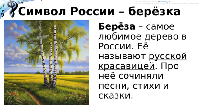 Материал принадлежит @nachalka_vs   Распространение в других источниках разрешено только с указанием ссылки на автора. Символ России – берёзка Берёза – самое любимое дерево в России. Её называют русской красавицей . Про неё сочиняли песни, стихи и сказки. 