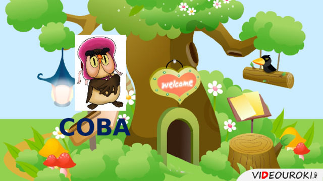СОВА  