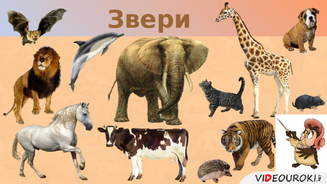 Звери  