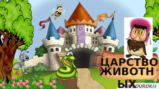 Царство животных  