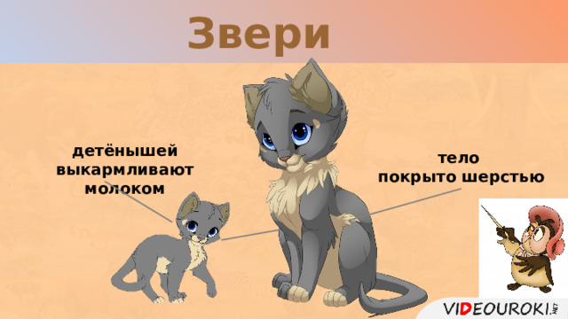 Звери детёнышей выкармливают молоком тело покрыто шерстью  