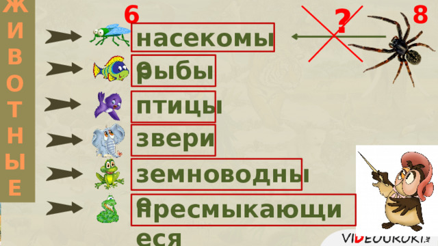 ЖИВОТНЫЕ 6 8 ? насекомые рыбы птицы звери земноводные пресмыкающиеся 