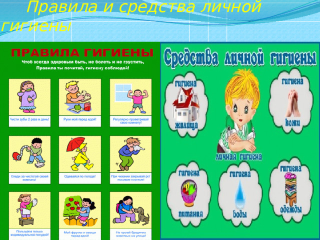   Правила и средства личной гигиены 