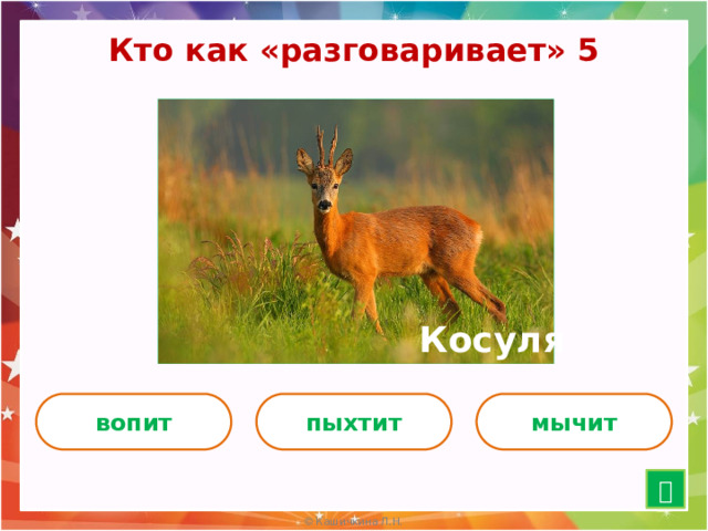 Кто как «разговаривает» 5 Косуля вопит пыхтит мычит  15 