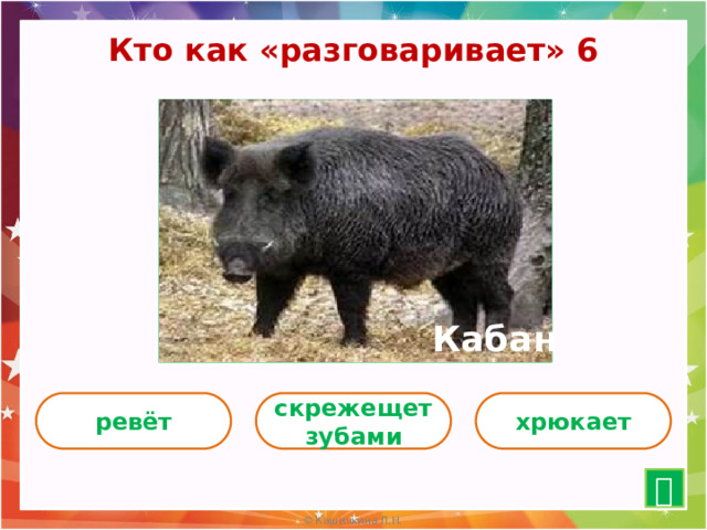 Кто как «разговаривает» 6 Кабан ревёт скрежещет зубами хрюкает  15 