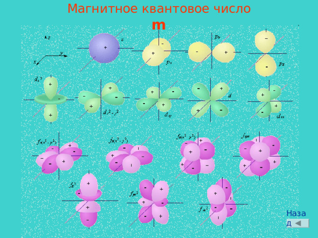 Магнитное квантовое число m Назад 