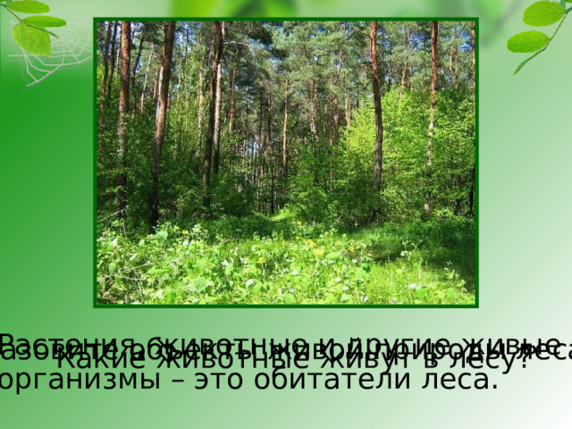Растения, животные и другие живые организмы – это обитатели леса. Назовите объекты живой природы леса. Какие животные живут в лесу? 