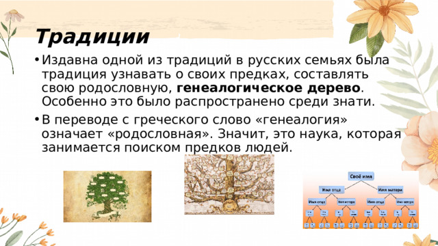 Традиции Издавна одной из традиций в русских семьях была традиция узнавать о своих предках, составлять свою родословную,  генеалогическое дерево . Особенно это было распространено среди знати. В переводе с греческого слово «генеалогия» означает «родословная». Значит, это наука, которая занимается поиском предков людей. 