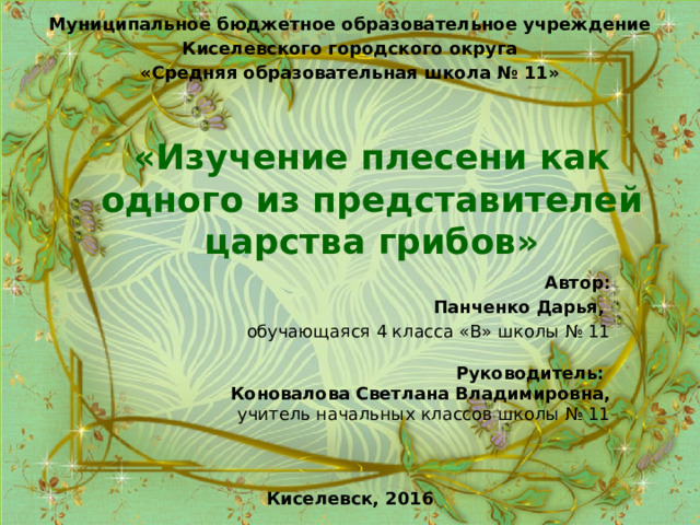 Муниципальное бюджетное образовательное учреждение Киселевского городского округа «Средняя образовательная школа № 11» «Изучение плесени как одного из представителей царства грибов» Автор: Панченко Дарья, обучающаяся 4 класса «В» школы № 11  Руководитель: Коновалова Светлана Владимировна, учитель начальных классов школы № 11 Киселевск, 2016 