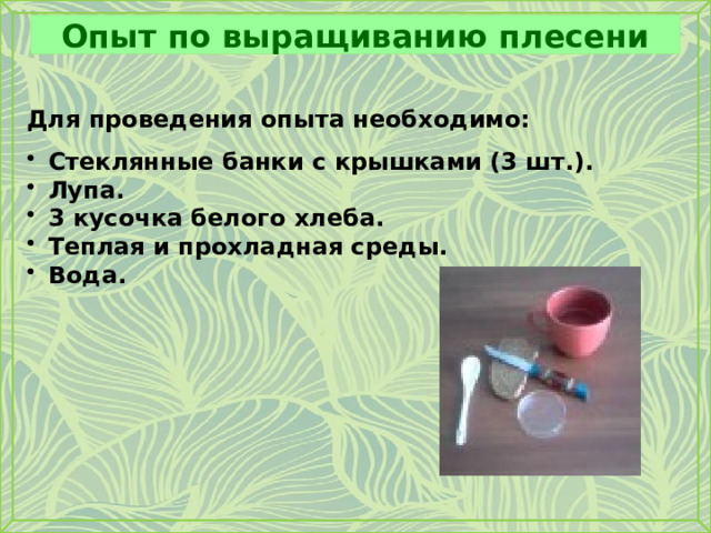 Опыт по выращиванию плесени Для проведения опыта необходимо:  Стеклянные банки с крышками (3 шт.). Лупа. 3 кусочка белого хлеба. Теплая и прохладная среды. Вода. 