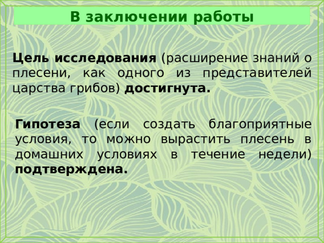 В заключении работы Цель исследования (расширение знаний о плесени, как одного из представителей царства грибов) достигнута. Гипотеза (если создать благоприятные условия, то можно вырастить плесень в домашних условиях в течение недели) подтверждена. 