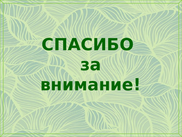 СПАСИБО за внимание! 