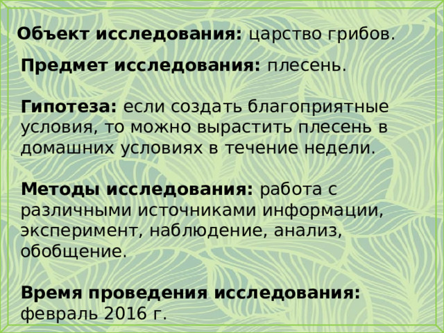 Объект исследования: царство грибов. Предмет исследования: плесень.  Гипотеза: если создать благоприятные условия, то можно вырастить плесень в домашних условиях в течение недели.   Методы исследования: работа с различными источниками информации, эксперимент, наблюдение, анализ, обобщение. Время проведения исследования:  февраль 2016 г. 