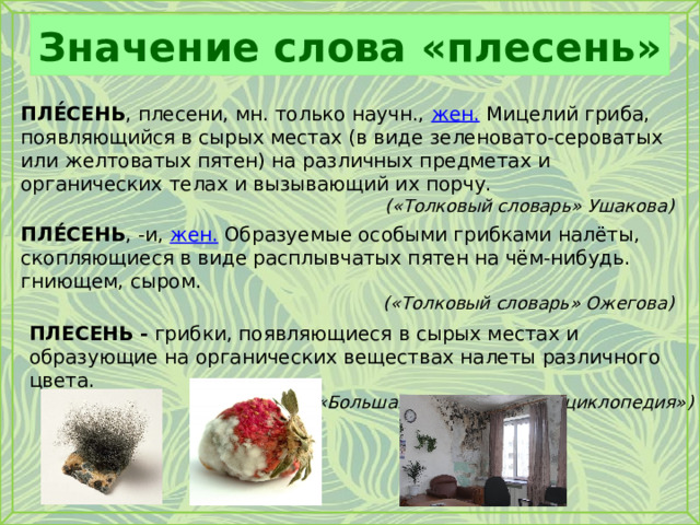 Значение слова «плесень» ПЛЕ́СЕНЬ , плесени, мн. только научн., жен. Мицелий гриба, появляющийся в сырых местах (в виде зеленовато-сероватых или желтоватых пятен) на различных предметах и органических телах и вызывающий их порчу.  («Толковый словарь» Ушакова) ПЛЕ́СЕНЬ , -и, жен. Образуемые особыми грибками налёты, скопляющиеся в виде расплывчатых пятен на чём-нибудь. гниющем, сыром. («Толковый словарь» Ожегова) ПЛЕСЕНЬ - грибки, появляющиеся в сырых местах и образующие на органических веществах налеты различного цвета.  («Большая медицинская энциклопедия») 