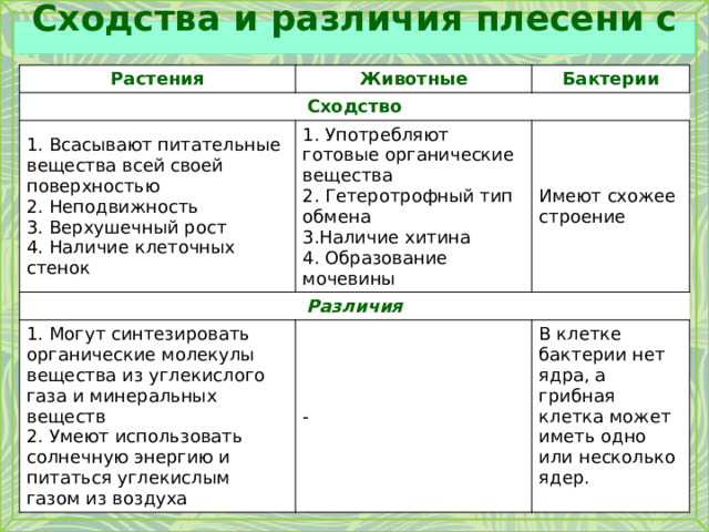 Сходства и различия плесени с … Растения Животные Сходство Бактерии  Всасывают питательные вещества всей своей поверхностью  Неподвижность Различия  Употребляют готовые органические вещества Имеют схожее строение  Могут синтезировать органические молекулы вещества из углекислого газа и минеральных веществ  Гетеротрофный тип обмена  Верхушечный рост Наличие хитина  Наличие клеточных стенок  Умеют использовать солнечную энергию и питаться углекислым газом из воздуха -  Образование мочевины В клетке бактерии нет ядра, а грибная клетка может иметь одно или несколько ядер. 