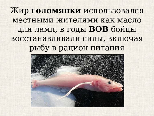  Жир  голомянки использовался местными жителями как масло для ламп, в годы  ВОВ бойцы восстанавливали силы, включая рыбу в рацион питания 
