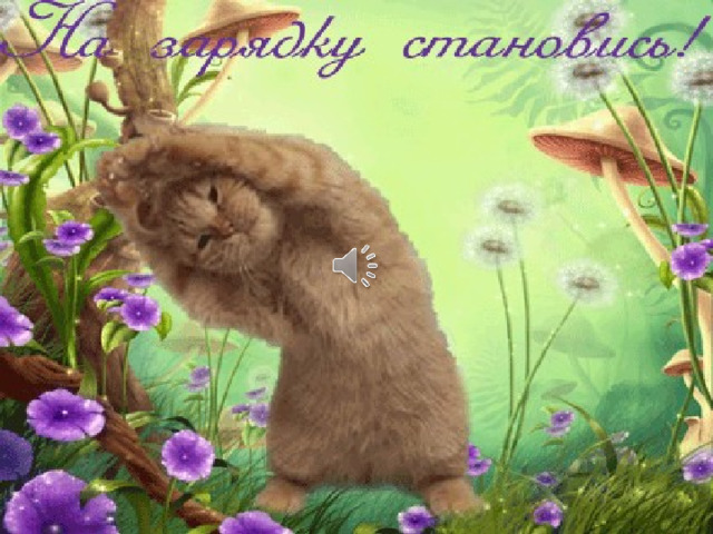 Физминутка 