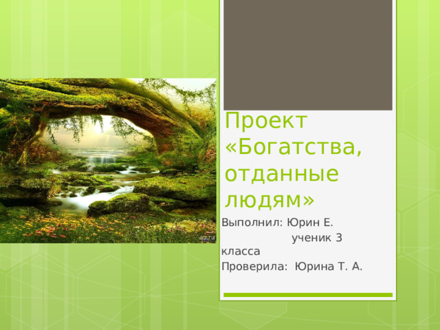 Проект «Богатства, отданные людям» Выполнил: Юрин Е.  ученик 3 класса Проверила: Юрина Т. А. 