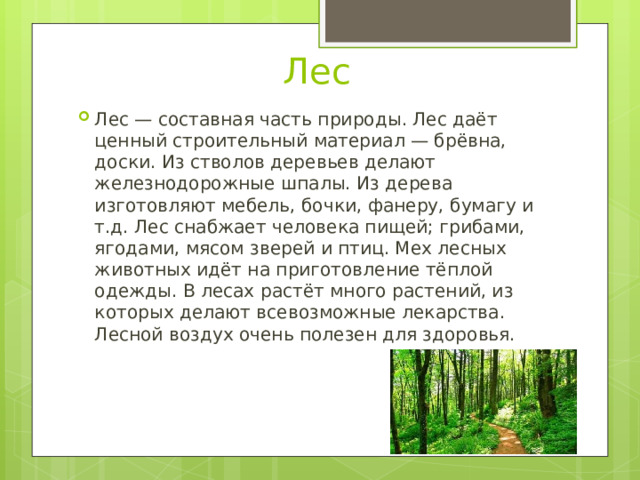  Лес Лес — составная часть природы. Лес даёт ценный строительный материал — брёвна, доски. Из стволов деревьев делают железнодорожные шпалы. Из дерева изготовляют мебель, бочки, фанеру, бумагу и т.д. Лес снабжает человека пищей; грибами, ягодами, мясом зверей и птиц. Мех лесных животных идёт на приготовление тёплой одежды. В лесах растёт много растений, из которых делают всевозможные лекарства. Лесной воздух очень полезен для здоровья. 