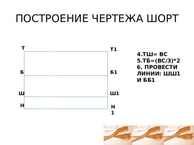 ПОСТРОЕНИЕ ЧЕРТЕЖА ШОРТ Т Т1 4.ТШ= ВС 5.ТБ=(ВС/3)*2 6. ПРОВЕСТИ ЛИНИИ: ШШ1 И ББ1 Б Б1 Ш Ш1 Н Н1 