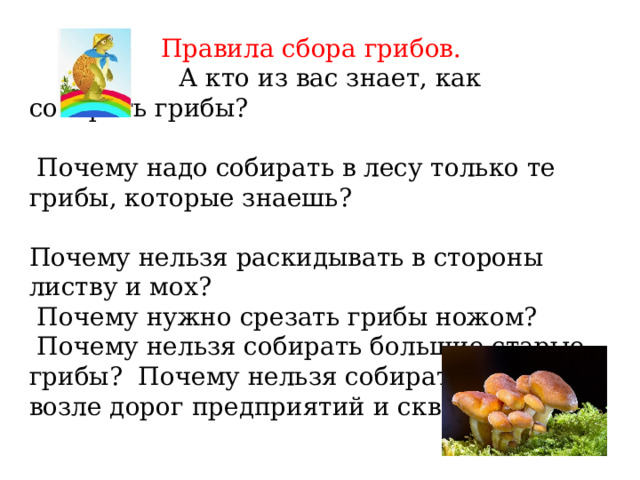 Правила сбора грибов.  А кто из вас знает, как собирать грибы?  Почему надо собирать в лесу только те грибы, которые знаешь? Почему нельзя раскидывать в стороны листву и мох?  Почему нужно срезать грибы ножом?  Почему нельзя собирать большие старые грибы? Почему нельзя собирать грибы возле дорог предприятий и скверов? 